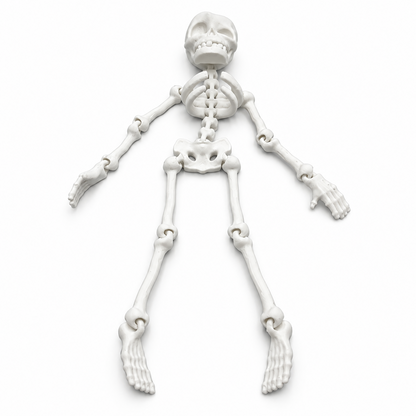Szkielet Halloween 18cm Biały Ruchomy Figurka z Otworem Do Wiszenia Ozdoba
