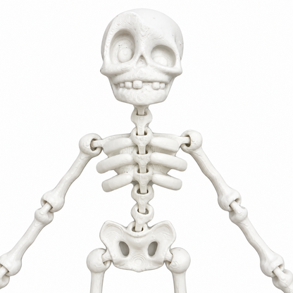 Szkielet Halloween 18cm Biały Ruchomy Figurka z Otworem Do Wiszenia Ozdoba